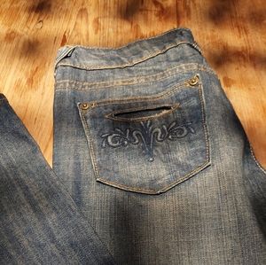 Vigoss Blue Jeans size 27